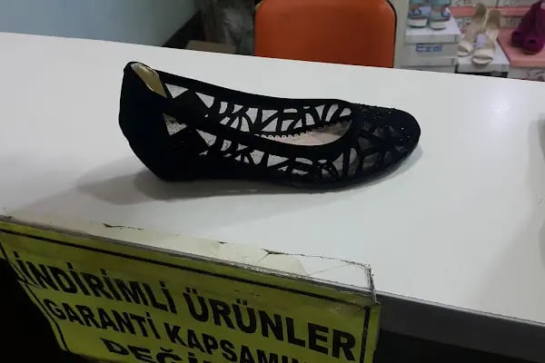 Barış Gross Altındağ - Resim 7