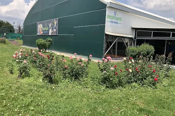 Meşelipark Tenis Kulübü - Resim 14