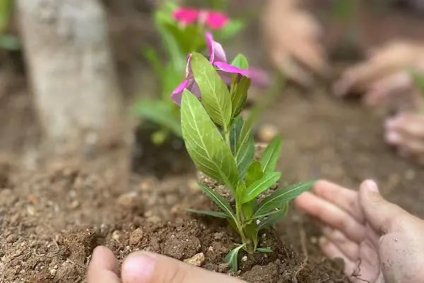 Ataköy Duyu Çocuk Anaokulu - Resim 5