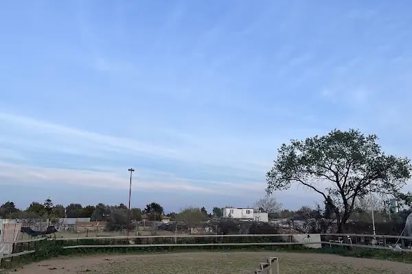 TRIAS AT ÇİFTLİĞİ - Resim 18