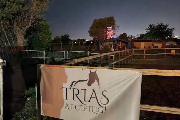 TRIAS AT ÇİFTLİĞİ - Resim 2