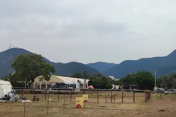 TRIAS AT ÇİFTLİĞİ - Resim 5