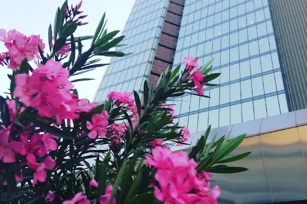 eOfis - Gaziantep Koluman Tower - Resim 13