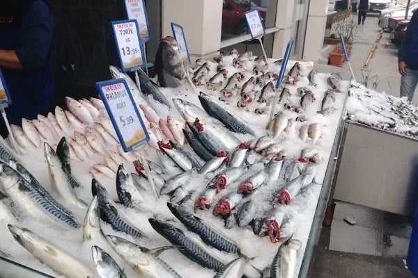 NevGross Toptan Market - Resim 20