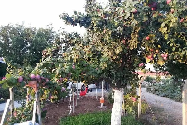 İnegöl Lunapark Cevahir Eğlence Merkezi - Resim 6