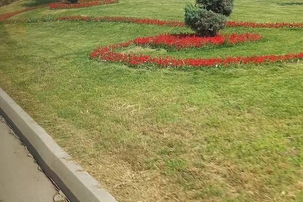 İnegöl Lunapark Cevahir Eğlence Merkezi - Resim 19