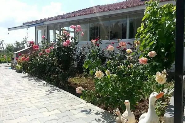 İnegöl Lunapark Cevahir Eğlence Merkezi - Resim 12