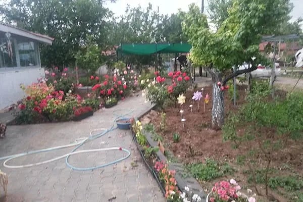 İnegöl Lunapark Cevahir Eğlence Merkezi - Resim 16