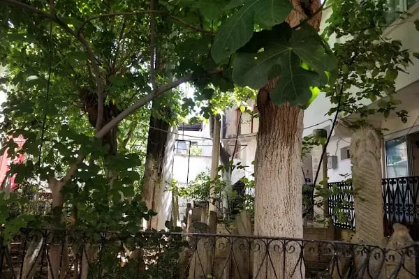 Hacı Mahmut Camii - Resim 7