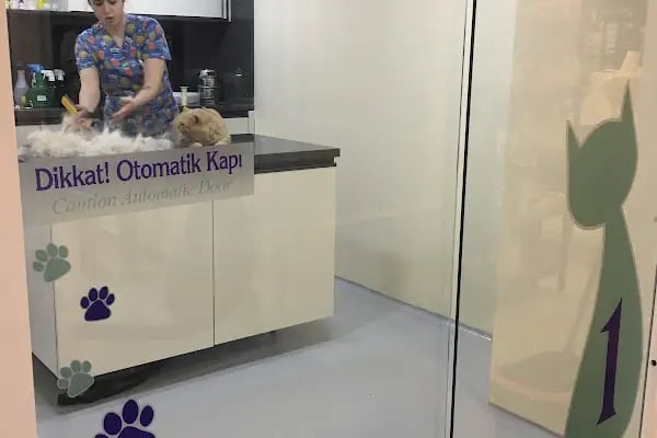 Asya Veteriner POLİKLİNİĞİ - Resim 2
