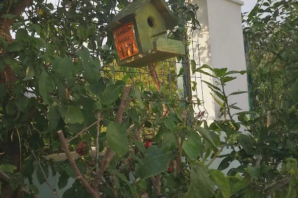 Alanya Aydınlık Düşler Kreş - Resim 15