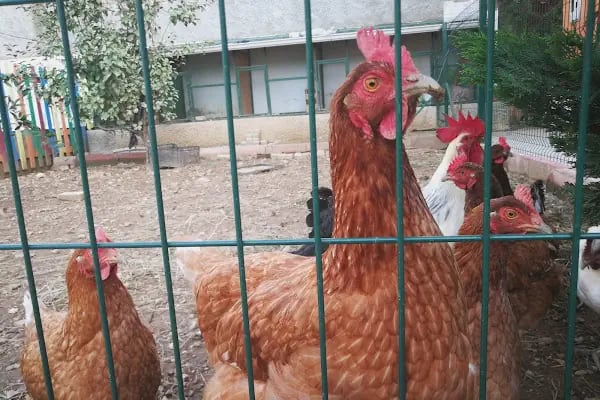 Alanya Aydınlık Düşler Kreş - Resim 13
