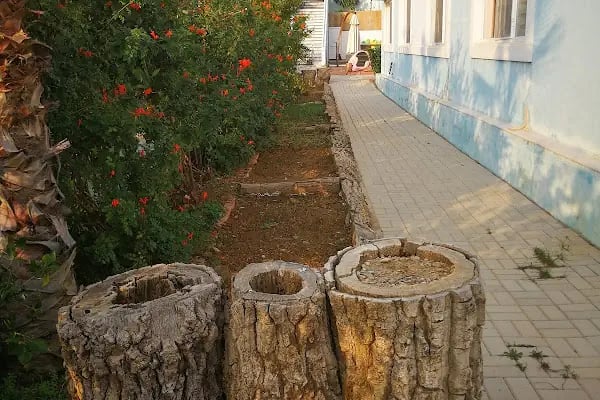 Alanya Aydınlık Düşler Kreş - Resim 11