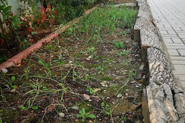 Alanya Aydınlık Düşler Kreş - Resim 16