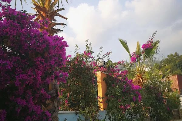Alanya Aydınlık Düşler Kreş - Resim 4