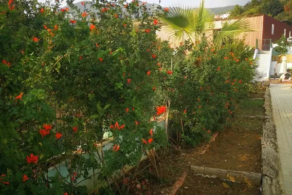 Alanya Aydınlık Düşler Kreş - Resim 8