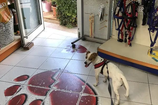 Pet Dünyası Veteriner Kliniği - Resim 16