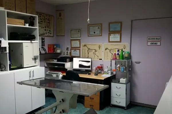 Pet Dünyası Veteriner Kliniği - Resim 2