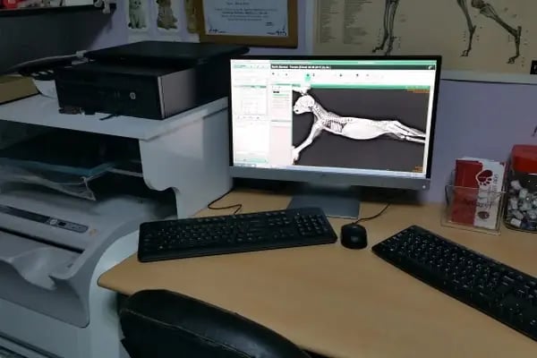 Pet Dünyası Veteriner Kliniği - Resim 14