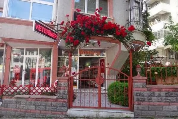 Pet Dünyası Veteriner Kliniği - Resim 6