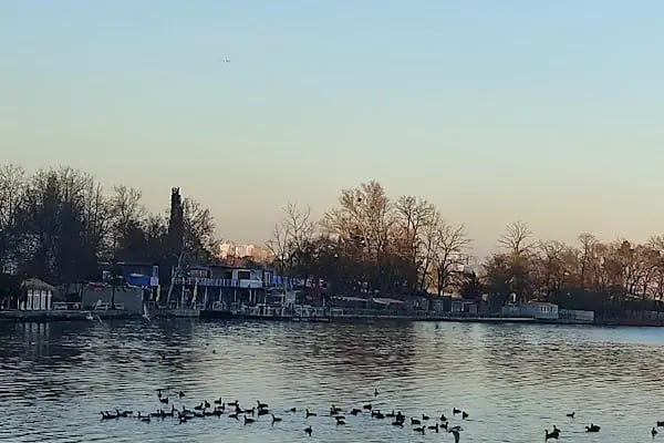 Avcılar Spor Kompleksi C Blok - Resim 9