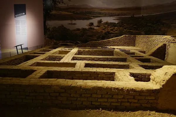Şanlıurfa Müzesi Kalkolitik Çağ Salonu - Resim 16