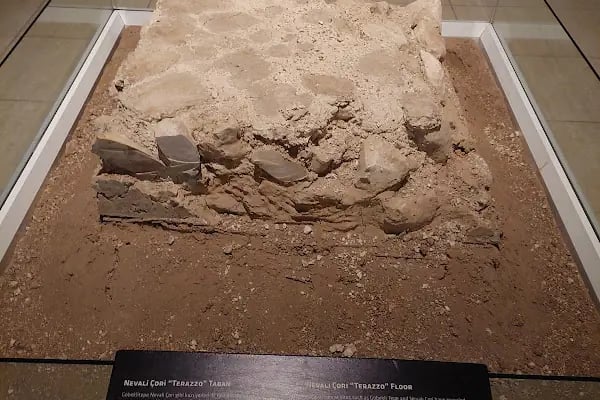 Şanlıurfa Müzesi Kalkolitik Çağ Salonu - Resim 19