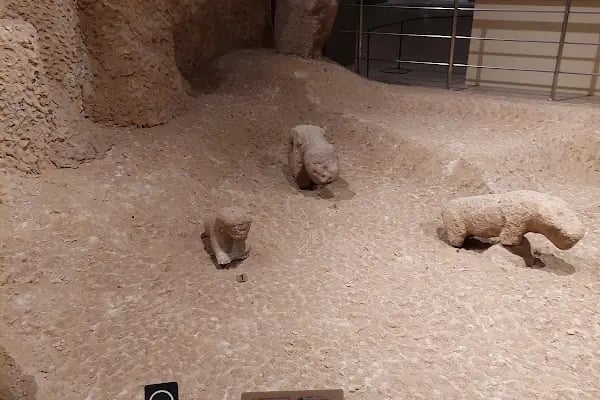 Şanlıurfa Müzesi Kalkolitik Çağ Salonu - Resim 14