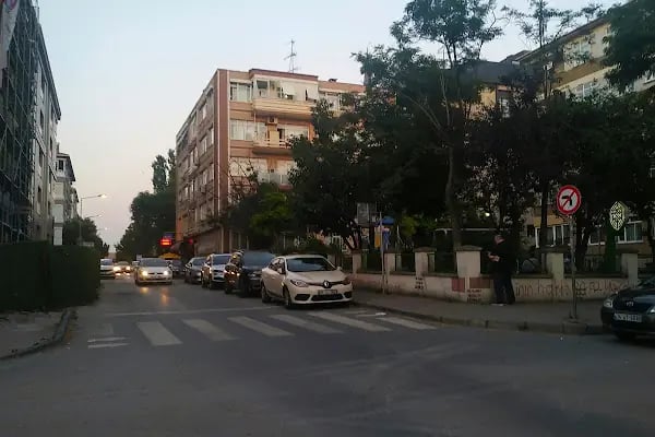 Bakırköy Belediyesi Limon Çiçeği Parkı - Resim 6