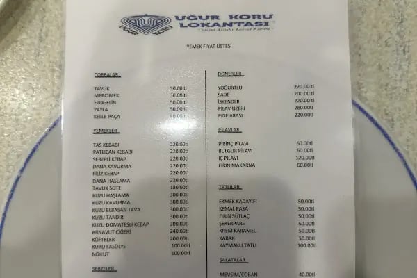 UĞUR KORU LOKANTASI - Resim 20