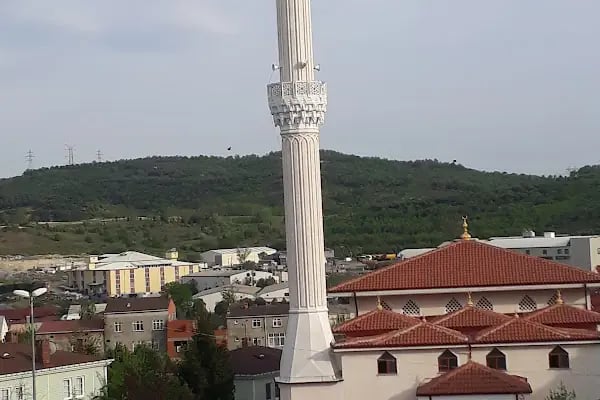 Abdülhamid Han Cami - Resim 18