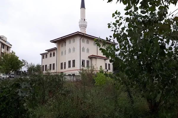 Abdülhamid Han Cami - Resim 5