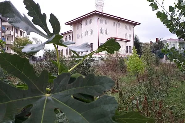 Abdülhamid Han Cami - Resim 8
