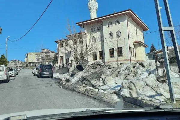 Abdülhamid Han Cami - Resim 9