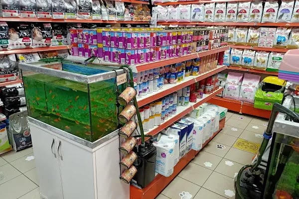 Hera Pet Shop - Resim 6