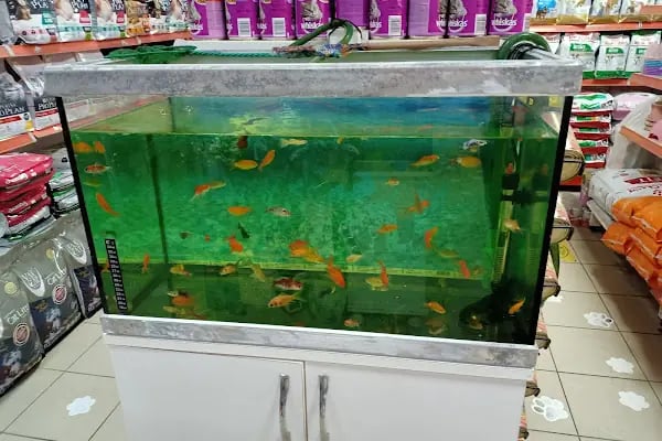 Hera Pet Shop - Resim 14