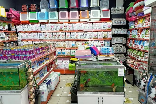 Hera Pet Shop - Resim 15