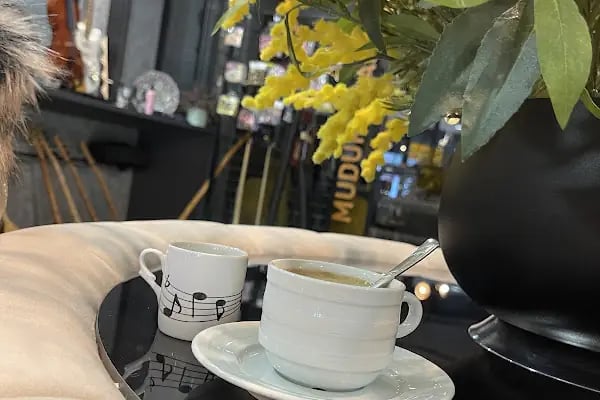 Melodi Sanat Akademisi Bahçeşehir - Resim 9
