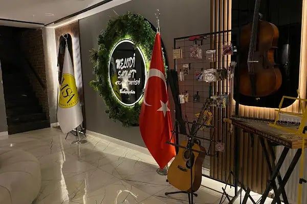Melodi Sanat Akademisi Bahçeşehir - Resim 3