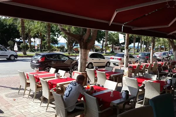 Begonia N Restaurant Bar - Resim 12
