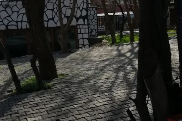Rio garden - Resim 12