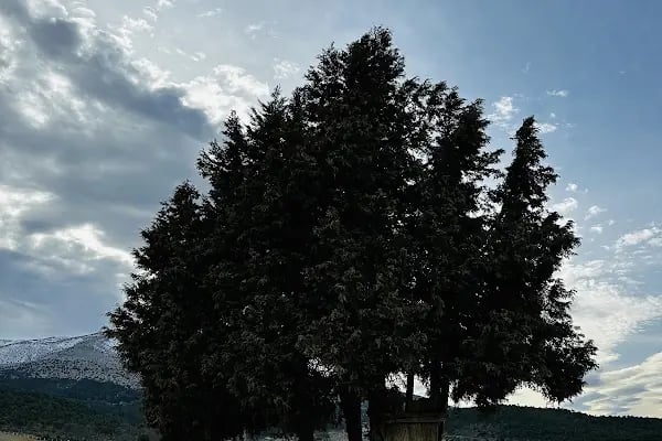 Kırsal Yaşam Çiftlik Alanı - Resim 2