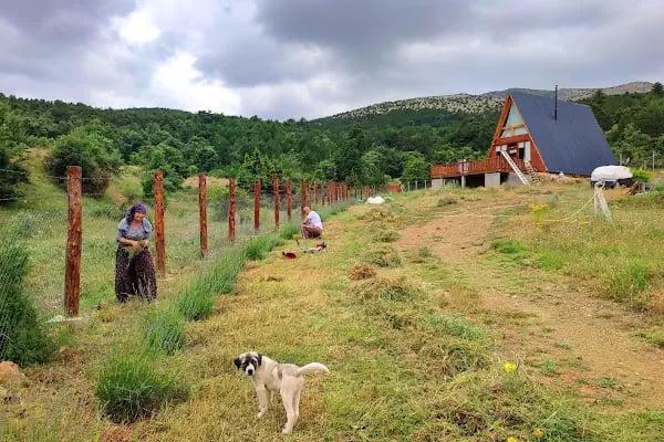 Kırsal Yaşam Çiftlik Alanı - Resim 1