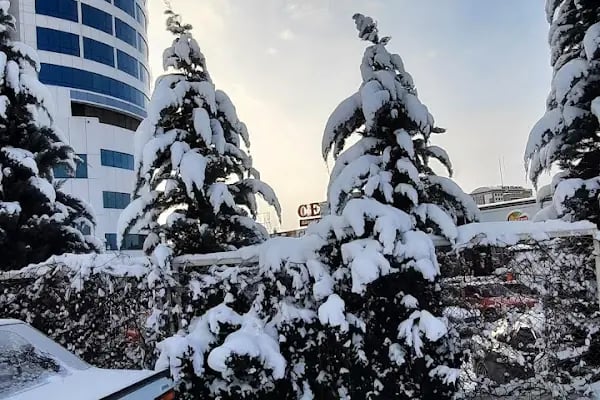 Medicana Konya Hastanesi - Resim 18
