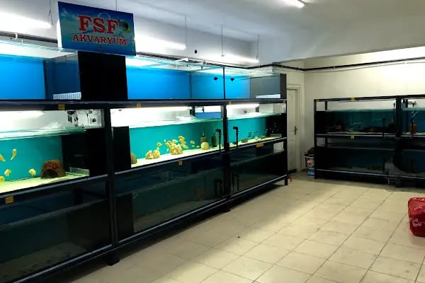 DSN Emas Akvaryum İmalatı - Resim 8