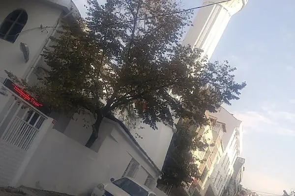 GÜNEŞLİ HATİPOĞLU CAMİİ - Resim 14