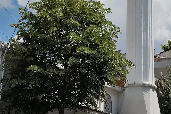 GÜNEŞLİ HATİPOĞLU CAMİİ - Resim 13