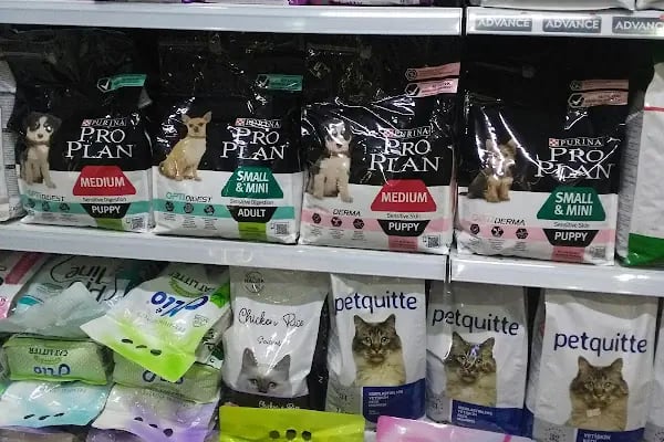 Güneşli petshop Bağcılar - Resim 10