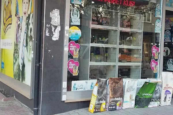 Güneşli petshop Bağcılar - Resim 2