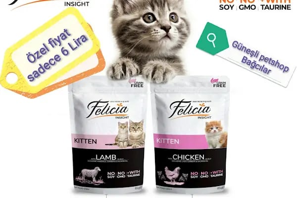 Güneşli petshop Bağcılar - Resim 17